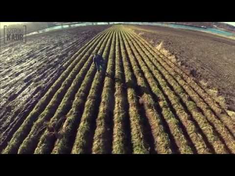 Fotograf miesiąca - Iza Zdziebko