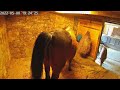 Funny Horse Fart