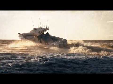 Videos from Bocazon.com