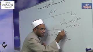 صورة شرح شذور الذهب / المحاضرة السابعة عشرة /المبني على الضم النوع الأول / 017