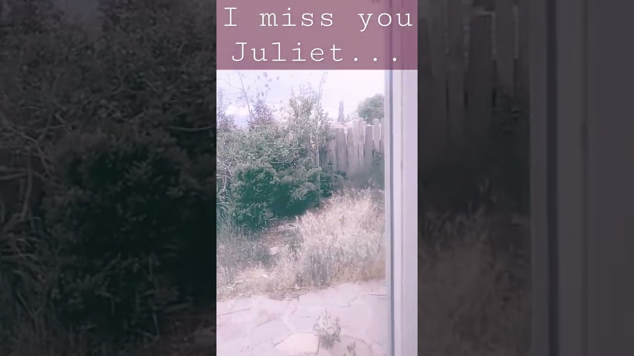 Coming out! (I'm not pan– I'm—)