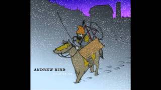 Song of the Day 1-8-13: Water Jet Cilice by Andrew Bird