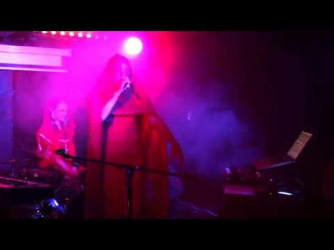 Lone Taxidermist live Sebright Arms - Nowhere