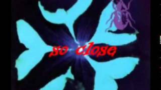 The Darling Buds ~ So Close