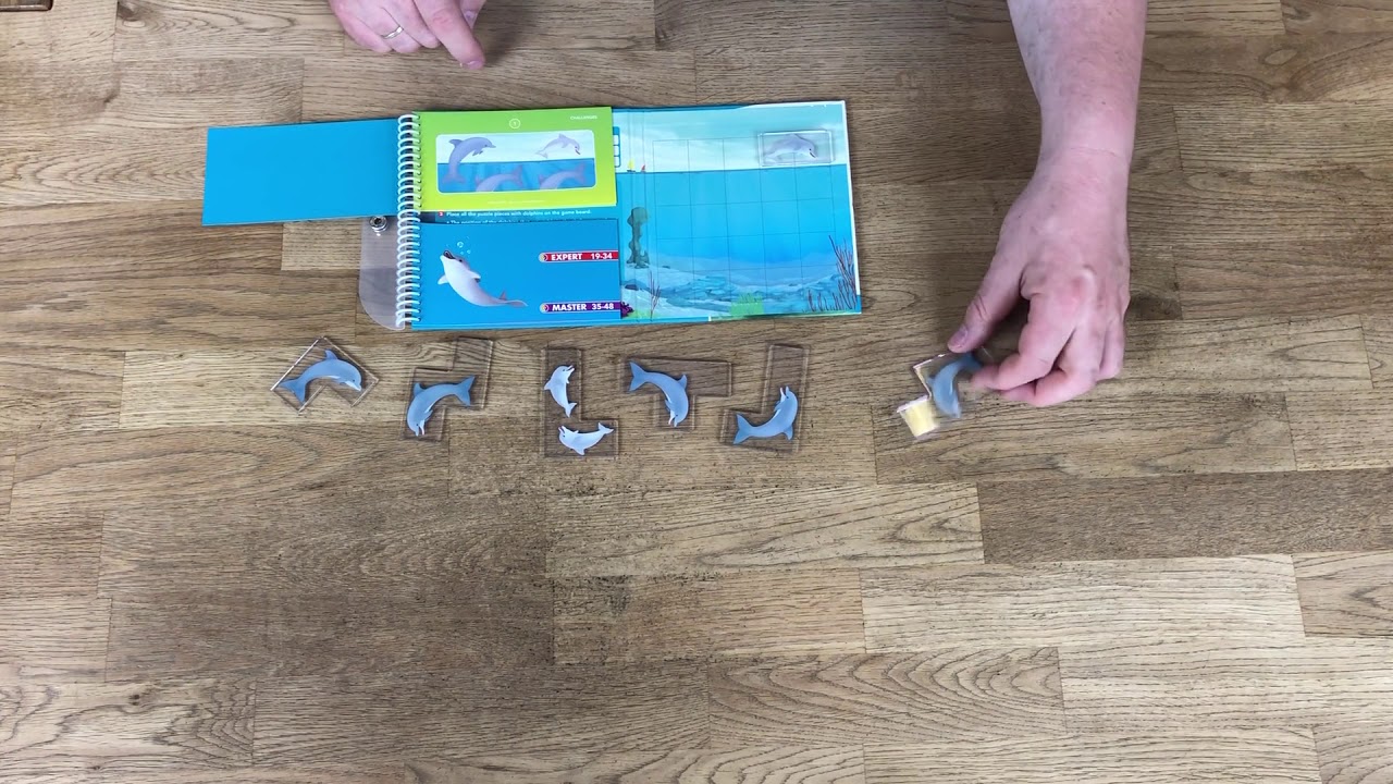 Flippin Dolphins, magneettipeli