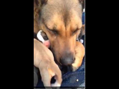 Mayraxavie’s Video 131592509646 Ra7JxytedVY