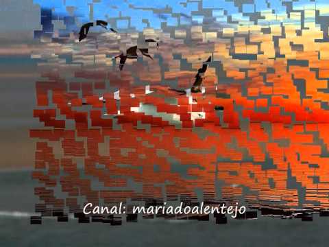 Cristina Nóbrega  - "Disse-te Adeus e Morri"