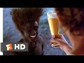 Young Einstein 1990 Bubbles Into Beer Scene 1 8 Movieclips