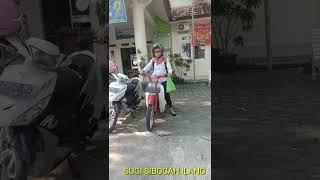 Download lagu cewek gaul naiknya honda c70 #hondaklasik mp3