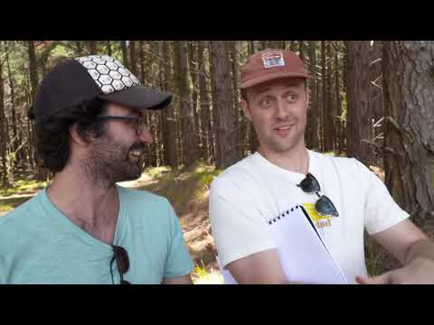 Viva La Dirt League - TV News Segment - 5th May 2021