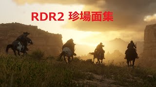 意外と見つかるおもしろ場面　RDR 珍場面集！