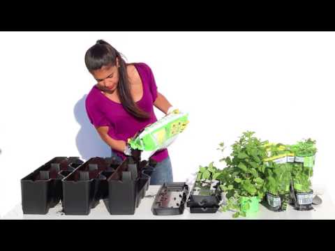 Assembly of 1 Minigarden Vertical set (3 modules)