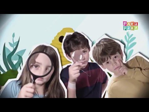 Promo: 1,2,3 ¡A descubrir! - Canal Pakapaka