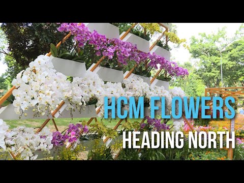 HCM City flowers heading North