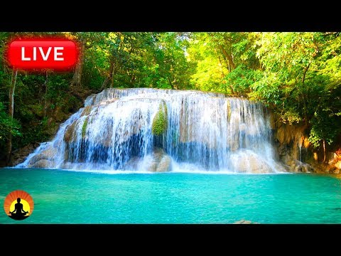 π΄ Relaxing Sleep Music 24/7: Deep Sleep Music, Peaceful Music, Sleep Meditation, Relaxing Music