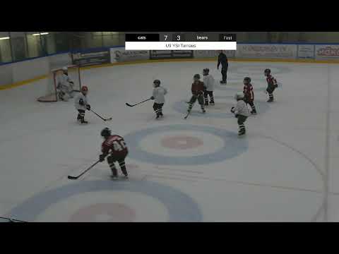 Karhu-Kissat Bears - Karhu-Kissat Cats