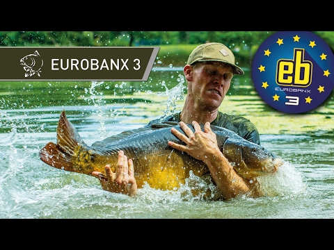 CARP FISHING - EUROBANX 3 with Alan Blair and Oli Davies - Nash Tackle