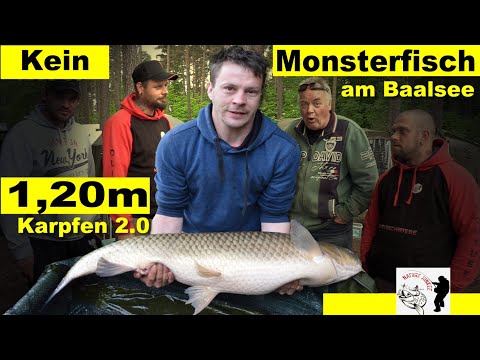 (Not) a monster fish in Lake Baal? Carp Nature Yunkee and the "Cup" mission 2021 Fishing video WK-tv