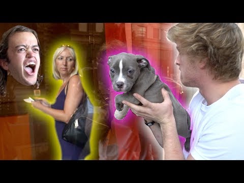 I HAD TO GIVE AWAY EVAN'S PUPPY... (angry) Video