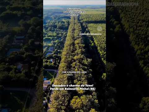 Túnel Verde na RS-040 em Balneário Pinhal-RS #balneariopinhalrs #tramandaí #imbé #tunelverde #praia