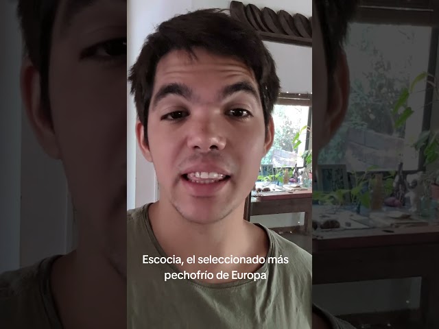 Vídeo relacionado con Runesol Bandera Escocia 3x5, 91x152cm, Banderas Escocés, Bandera De La Cruz De San Andrés Saltire, 4 Ojales Esquina, Celebraciones Escocesas, Banderas Premium, Impermeable, Interior, Six Nations Rugby