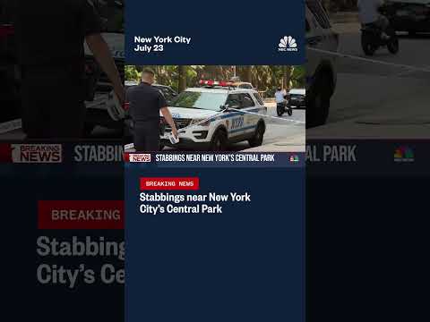 Stabbings near New York City’s Central Park