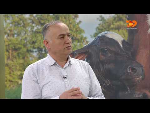 Ne Shtepine Tone, 25 Prill 2017, Pjesa 2 - Top Channel Albania - Entertainment Show