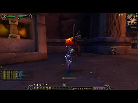 WOW Animations - Allied Races - Void Elf Holy Priest (female)