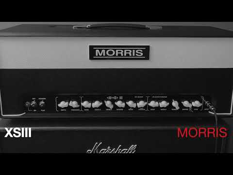 Morris Amplification Excess III Single Handmade Tube Amp image 5