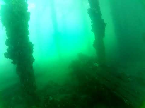 Edithburgh Live by AusOcean 07/02/2023