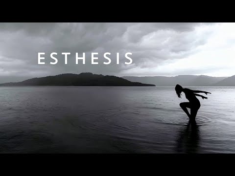 OUT OF STEP - The new ESTHESIS album (Official Teaser)