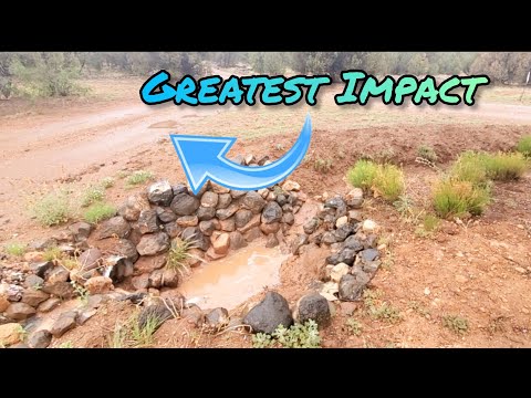 Rainwater Harvesting: Permaculture Driveway & Pathway Design