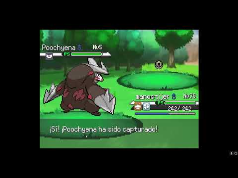 POKÉMON AÑIL Ep 19 LLEGAMOS A LA LIGA POKÉMON