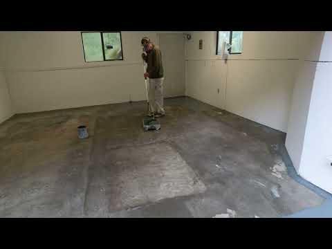 Frog clan painting group video.