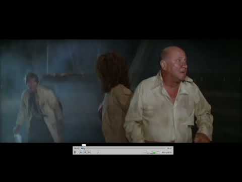 36 what is a multimedia container format?