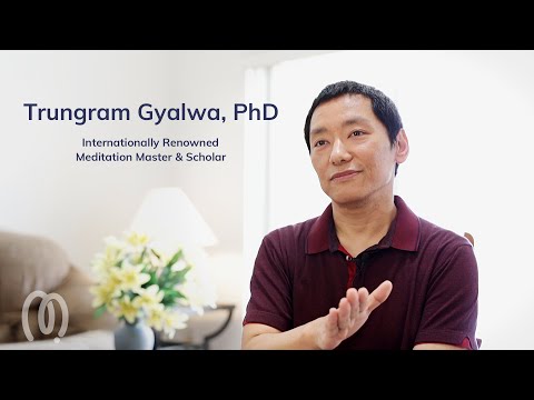 Mindworks Meditation Courses Video