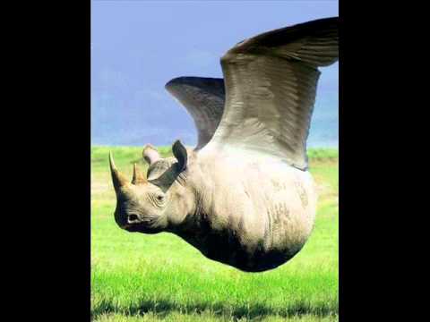 Fumaca and maz - monstrii sacrii