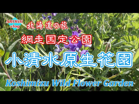 #68 Viaje a Hokkaido Jardín de flores silvestres de Koshimizu: dé un paseo por el jardín de flores silvestres de Koshimizu