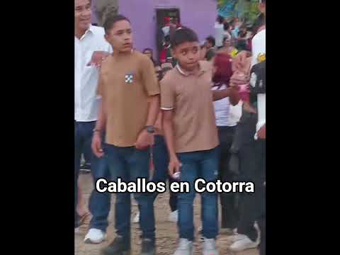 Festival del Campano, corregimiento de Cotorra Cordoba. 2026