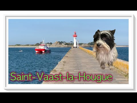 🇫🇷 Saint-Vaast-la-Hougue - Normandie - Frankreich - Mobby on Tour Sommer 2021 de