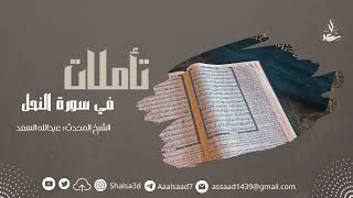 صورة 4- تأملات في سورة النحل