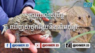 តាមជំនឿរដូនតាខ្មែរ ការយល់សុបិន្ដឃេីញសត្វកង្កែបនិងនាំមកនូវ……