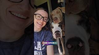 These dogs had all the zoomies for memorial day! #dogshorts #dogsrule #morningroutine #cutedog