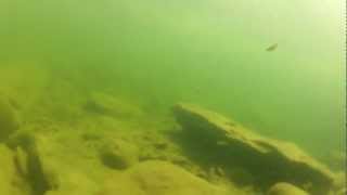 preview picture of video 'castel del rio in apnea (no pescasub)'