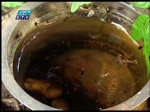 ডেঙ্গুতে আক্রান্ত হয়ে দেশের বিভিন্ন হাসপাতালে আরো ১৭০ জন ভর্তি
