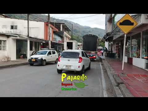 Pajarito - Boyacá (6:28 a.m.)  24/01/2026