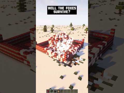 thelittlenoobMC - Will the Foxes Survive? 😱💥 #minecraft #shorts #meme