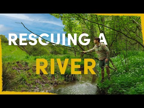 We are letting this river run wild again - here’s how