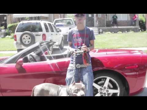 MAJOR D STAR (STUCK UP) OFFICIAL VIDEO