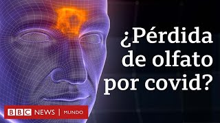 En qué se diferencia la pérdida de olfato y gusto por covid-19 de la producida por un resfriado